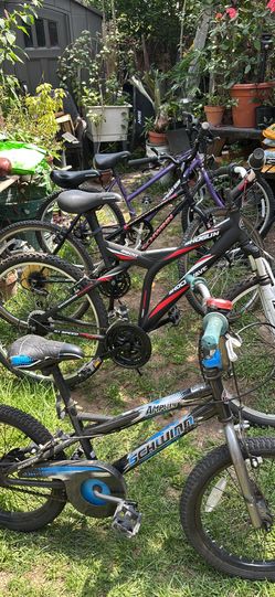 Bikes for sale