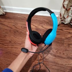 Nintendo Headphones