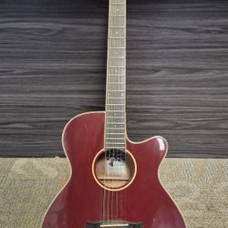 Taglewood Acoustic Guitar