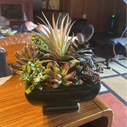 6”x9”  glass  Pot 8 Different Artificial Succulents  Never Used   Beautiful 