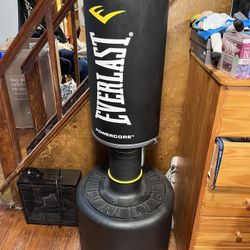 Everlast Standing Punching Bag (Need gone) 
