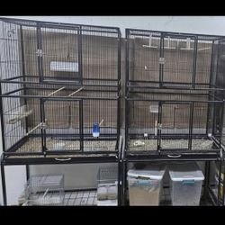 Flight Cages For Birds jaulas de vuelo para pájaros