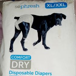 Dog Diapers XL/XXL 
