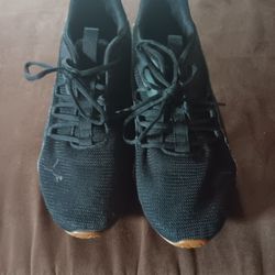 Pumas 