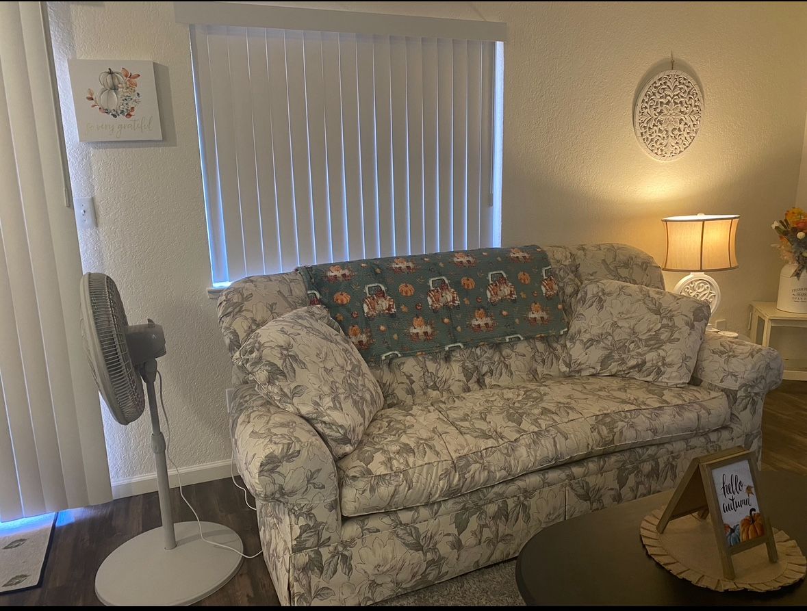 Free Nice Couch
