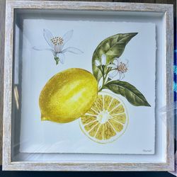 Framed Lemon Botanical Wall Art (12x12)