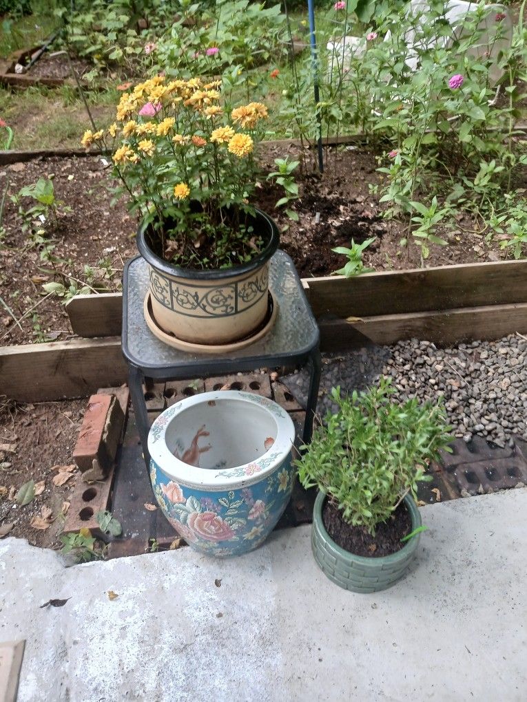 Pots, With Glass Table