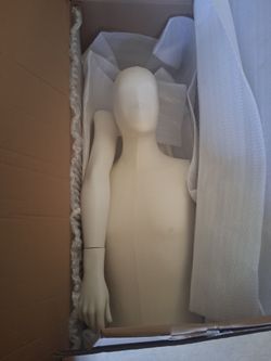 Male mannequin (Upper half only)