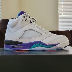 Air Jordan 5 Grape Retro OG (2025) ✅️ Size 9.5 Men's 🆕️ DS, Brand New, 💯% Guaranteed Authentic🤙🏽 Nike AJ5 V 🔥🔥🔥