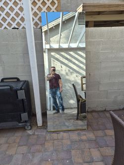 Door with mirror