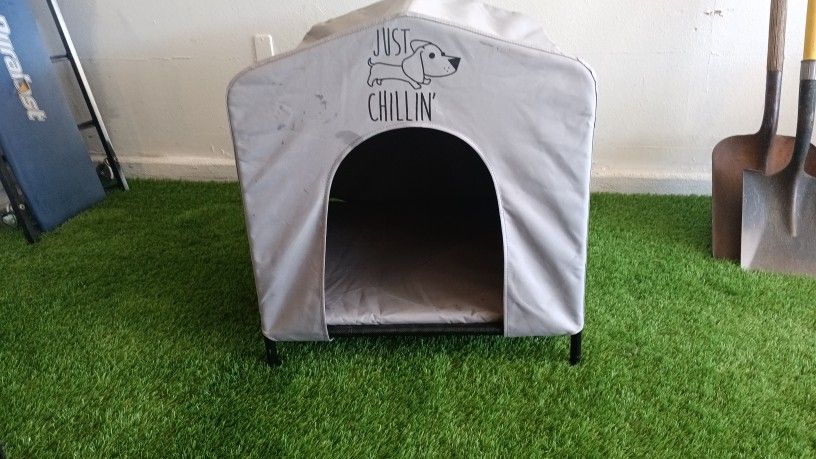 Dog House 