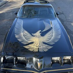 1981 Pontiac Trans Am Turbo 4.9 T-Top