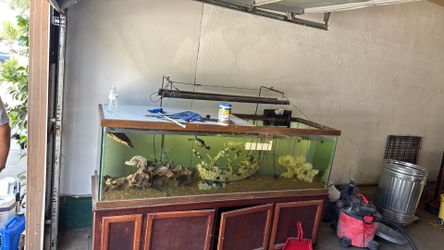 Fish tank