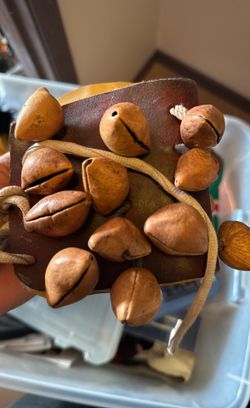 Ayoyotls