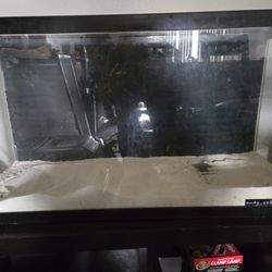 Aquarium Tank With Sand / Brand New Bed Frame