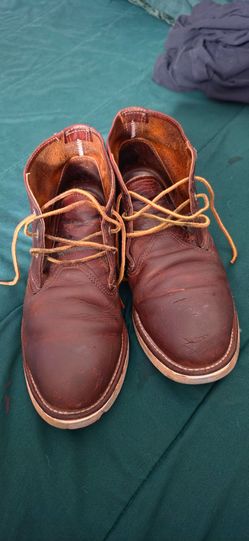 Boots red wing chukka