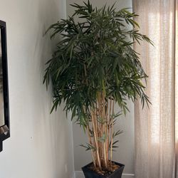 Faux Bamboo Plant 7.5 Feet With Planter