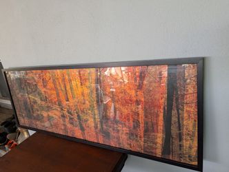 Wall Picture Frames / Writing Frame ($20all)