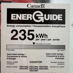 Cracked  Glass Electric Cooktop