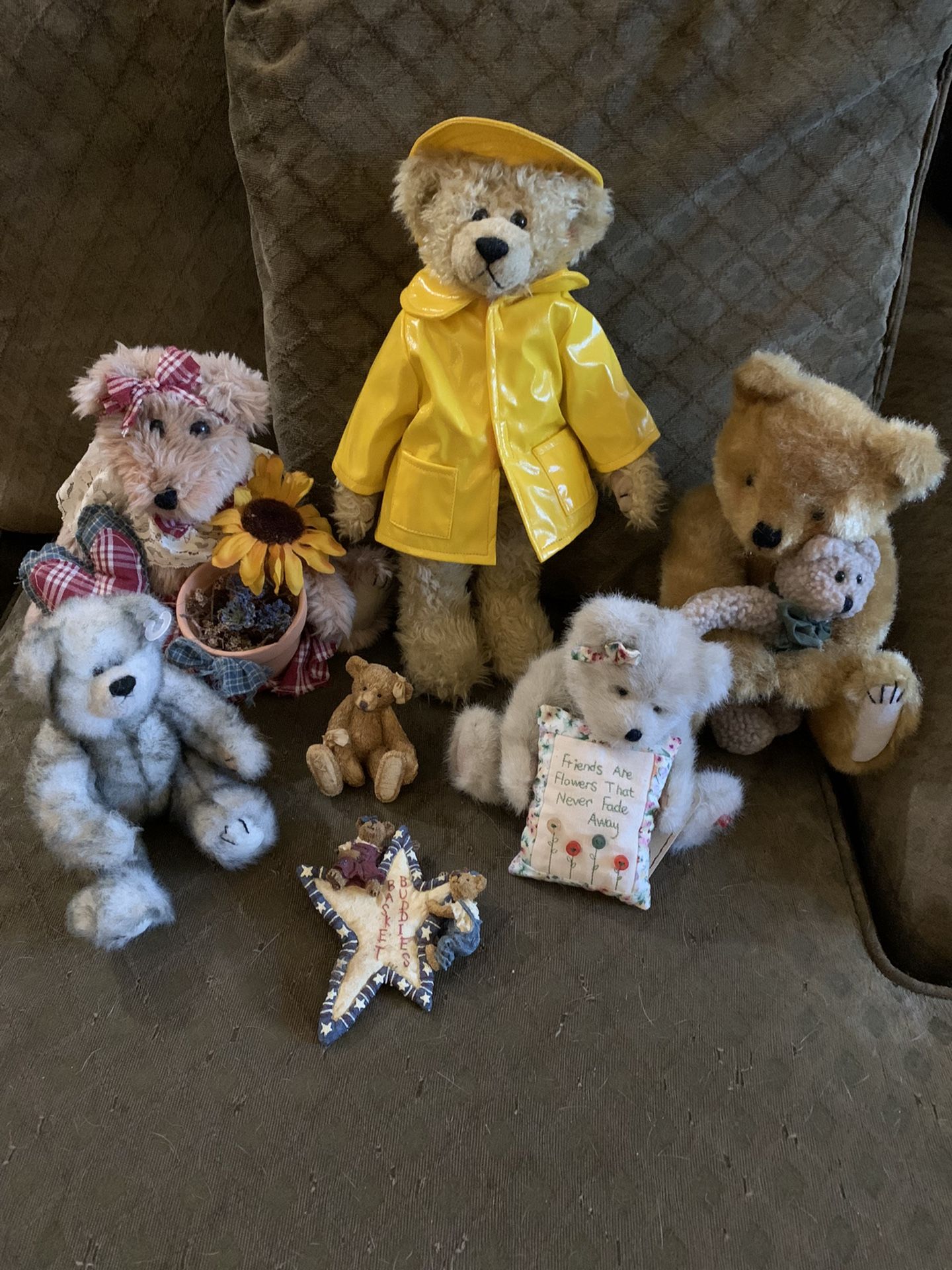 Plush Teddy Bear Bundle