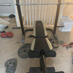 Workout Bench Bar And Plates 
