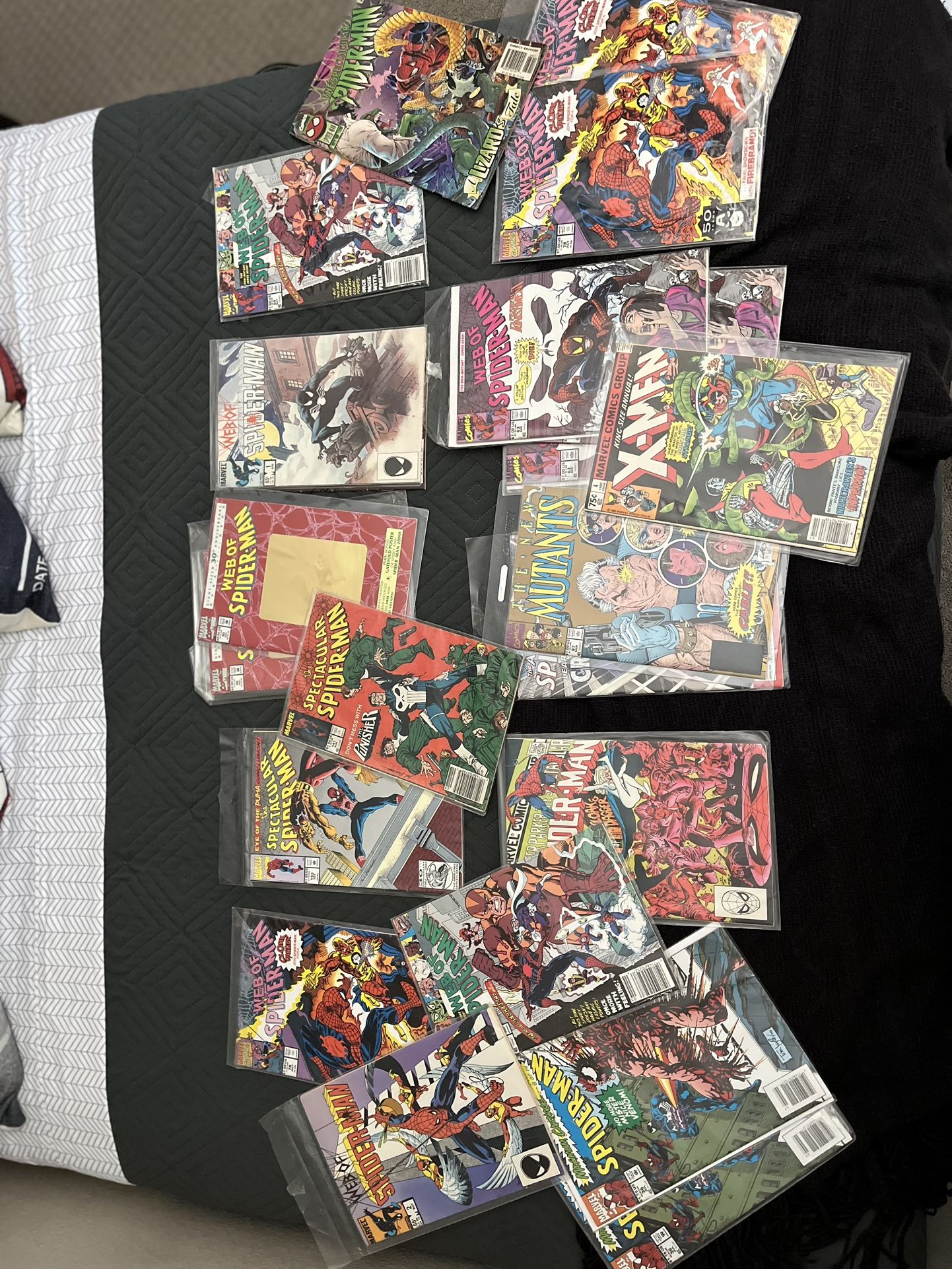 SPIDER-MAN and Other Comics