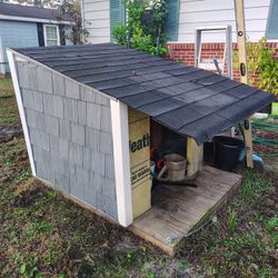 Dog House 