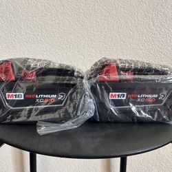 M18 18-Volt Lithium-Ion XC Extended Capacity 5.0 Ah Battery Pack (2-Pack)