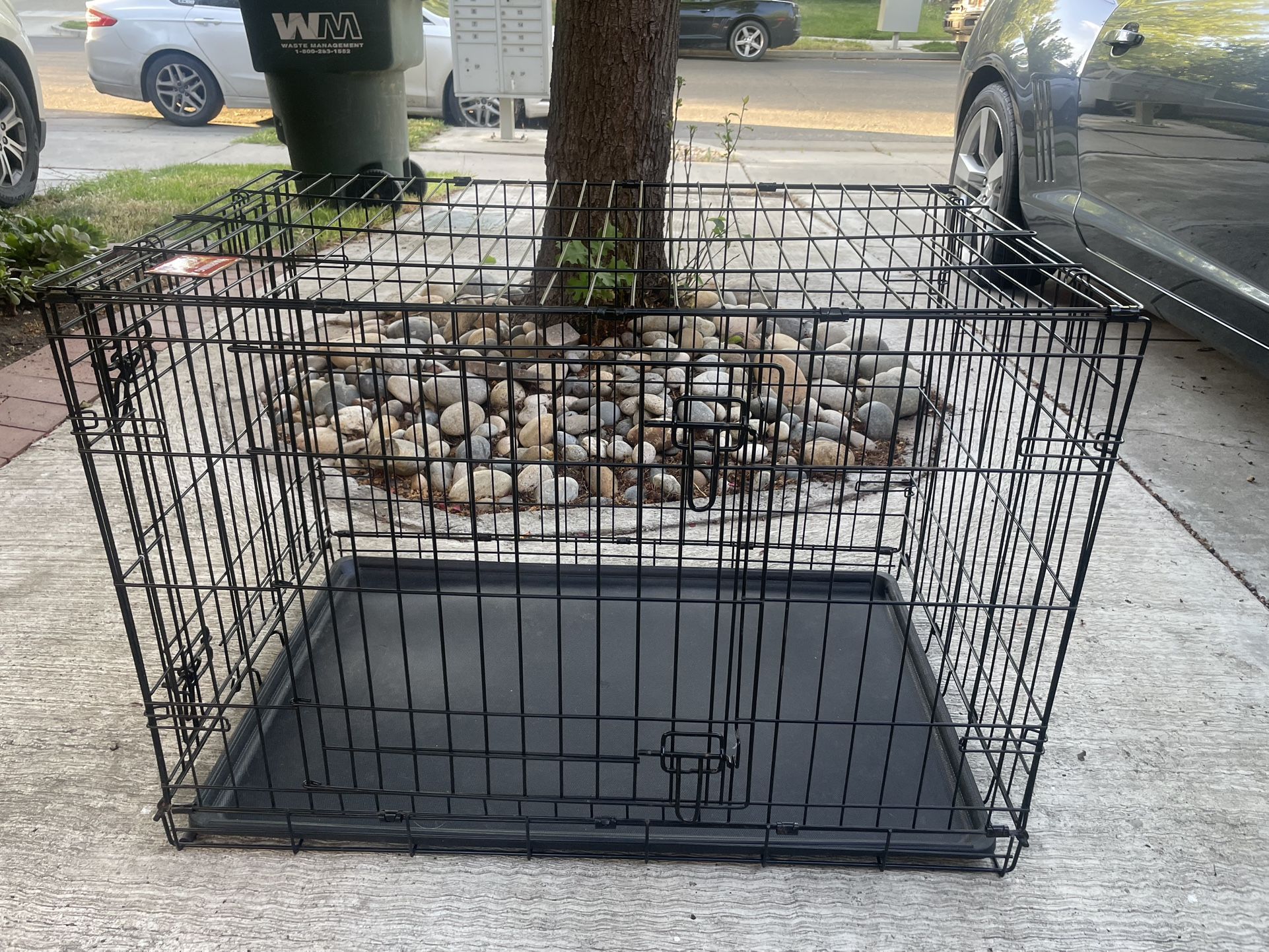 Dog Cage(s)