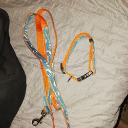 Brand New 2pc Miami Dolphin Leash Collar Set Sz Med 10 Firm Look My Post Alot Item