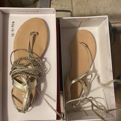 Gold Flat Sandals  Aldo 
