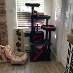 Like New My Kitten Passed Away