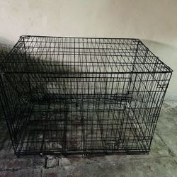 Dog Cage