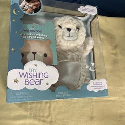My wishing bear