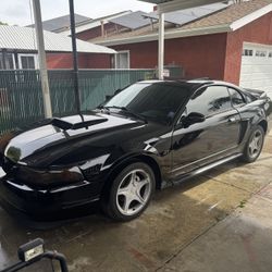 2000 Ford Mustang