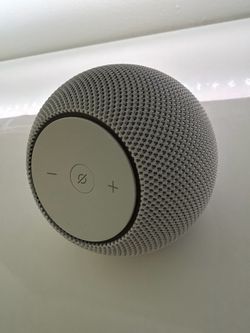 Alexa (Echo dot max)