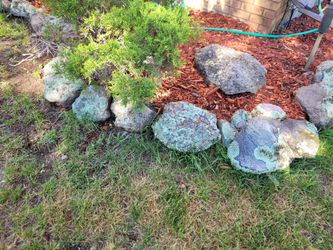 Beautiful Canyon Moss Rock