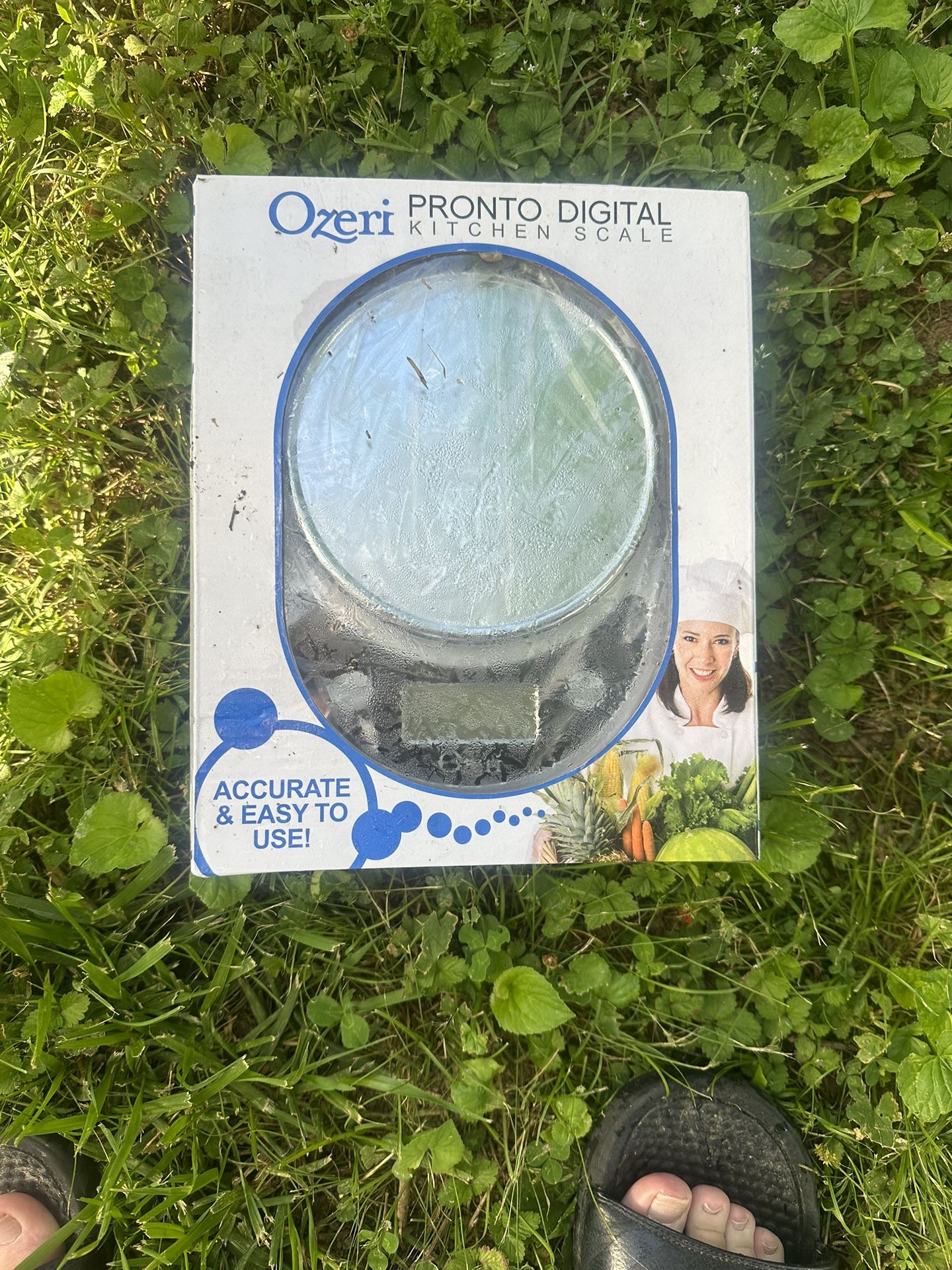 Digital kitchen scale