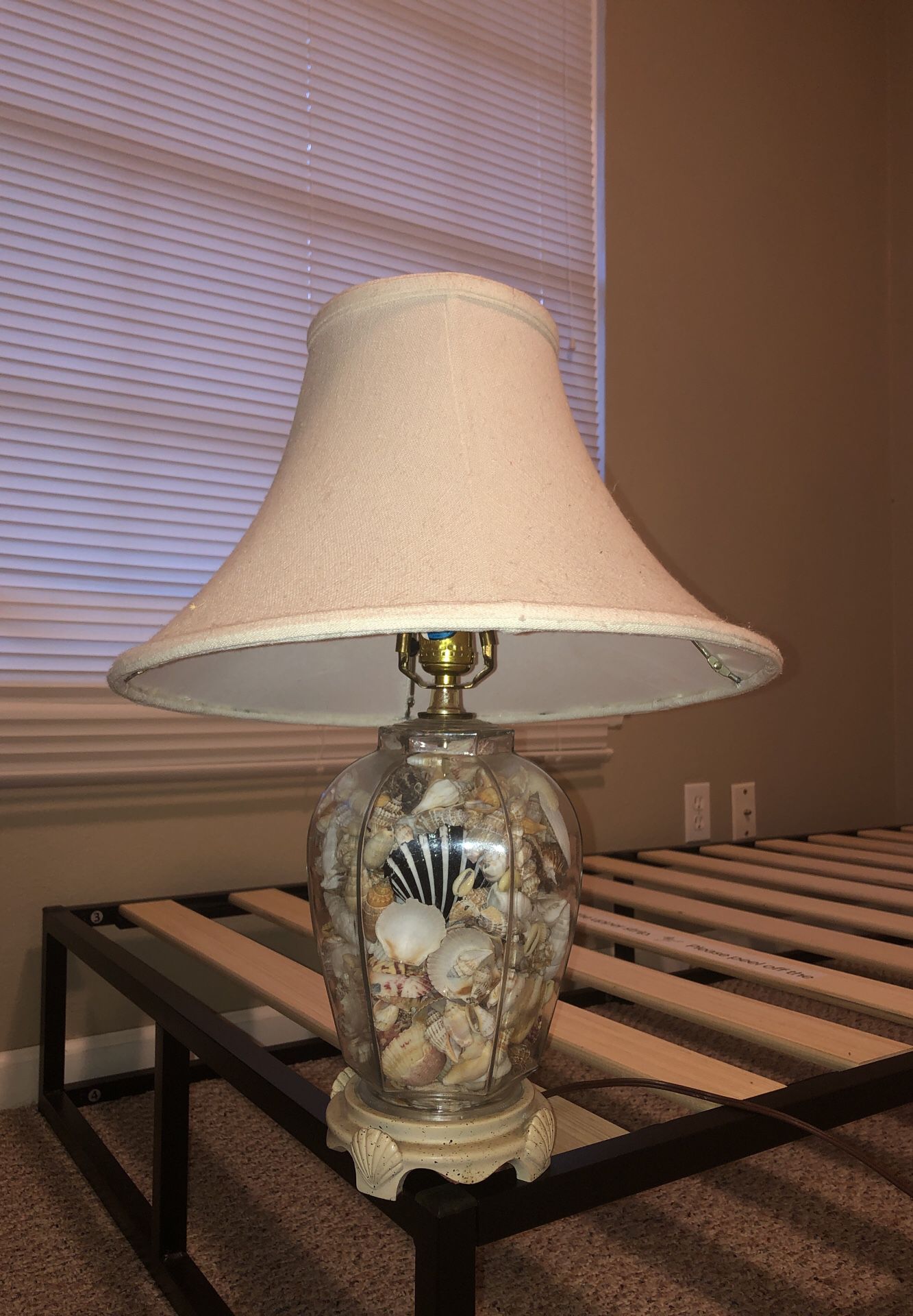 Sea shell lamp