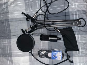 Microphone
