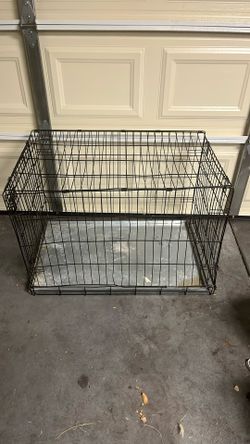 Dog  🐕 Cage 
