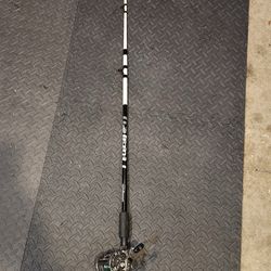 Shakespeare Tiger Rod + Daiwa Reel Combo