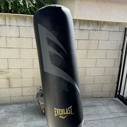 Everlast Punching Bag $70