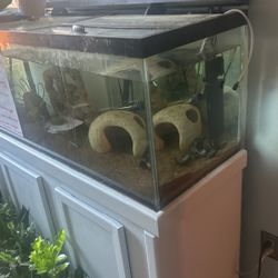 75 Gallon aquarium + Accessorieds