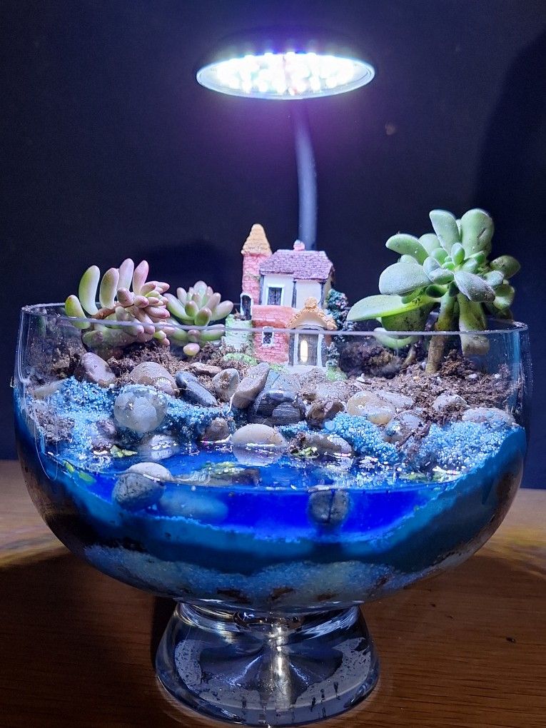 Designer Planter With Live Succulent Plants