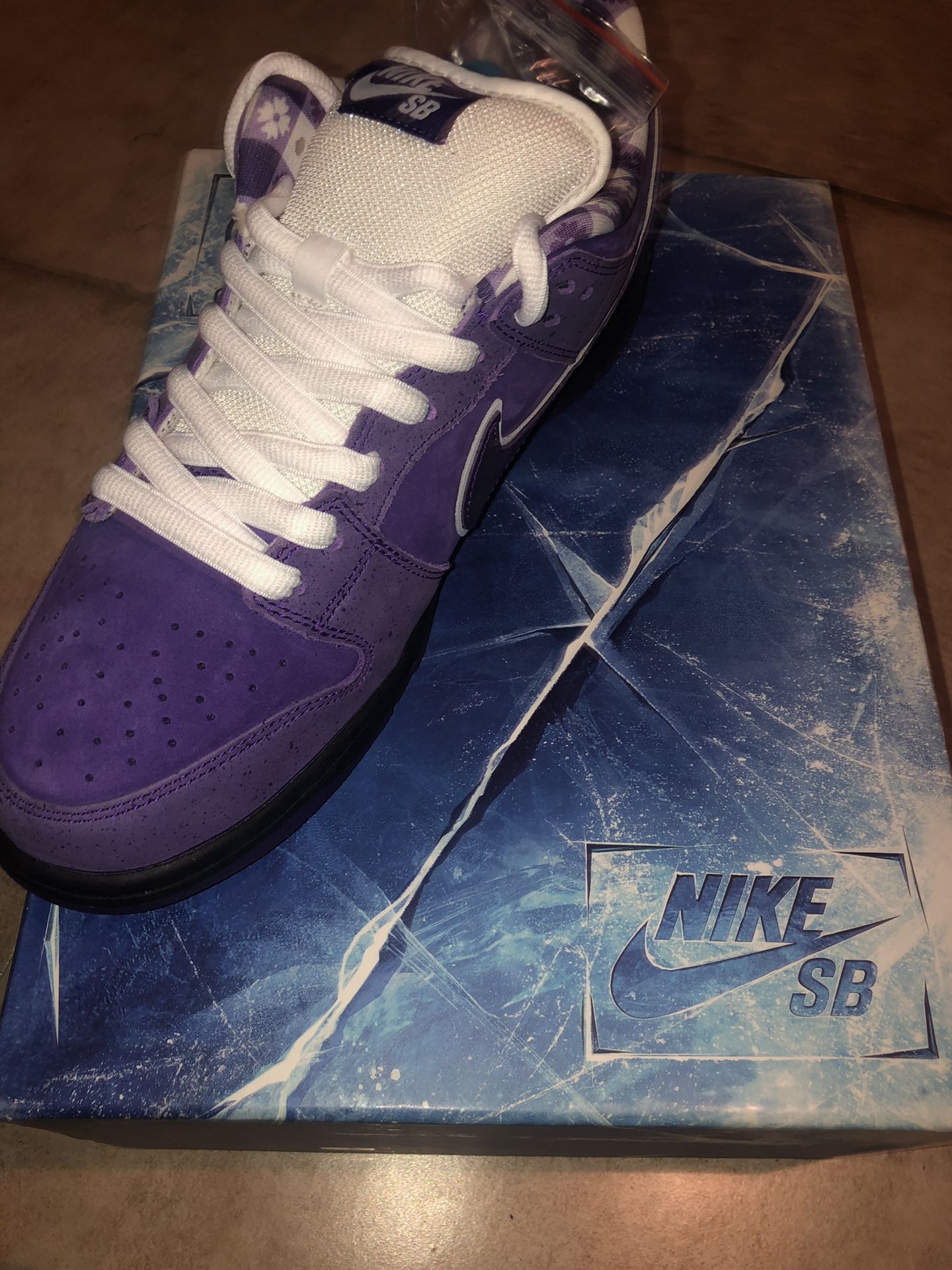 Nike Sb Purple Lobster (Special Packaging)