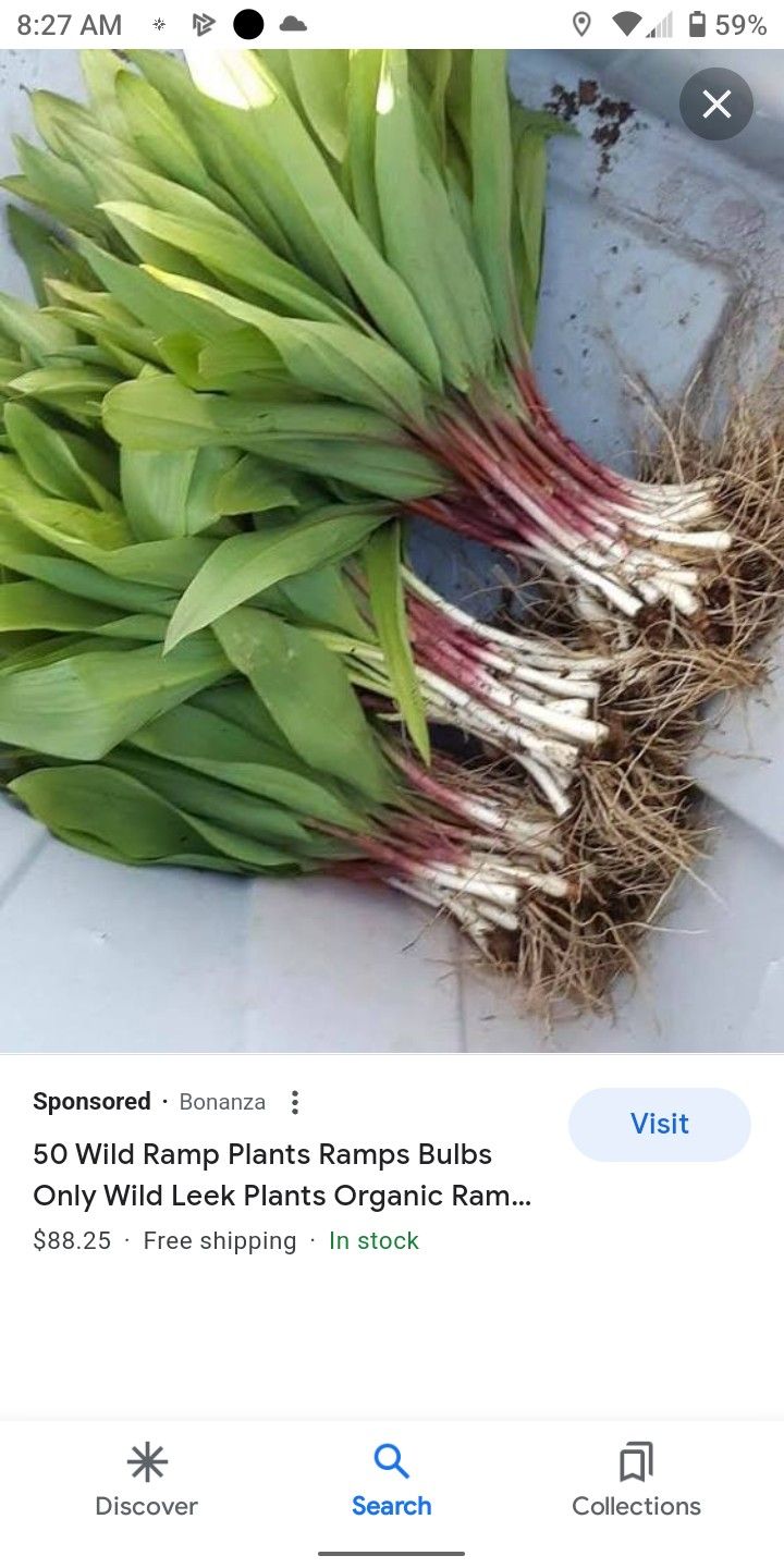 Ramps you. Eat