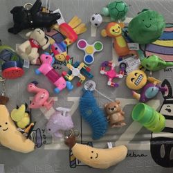 Random Fidget Toys 