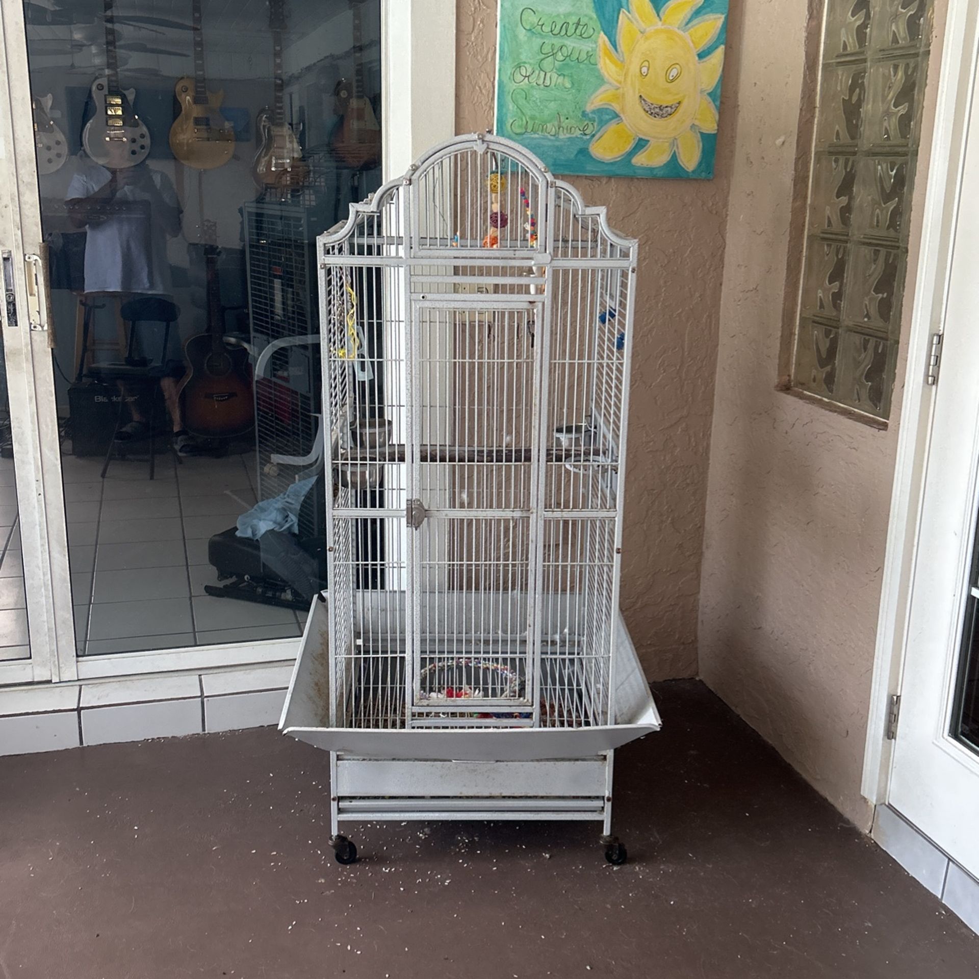 Parrot Cage