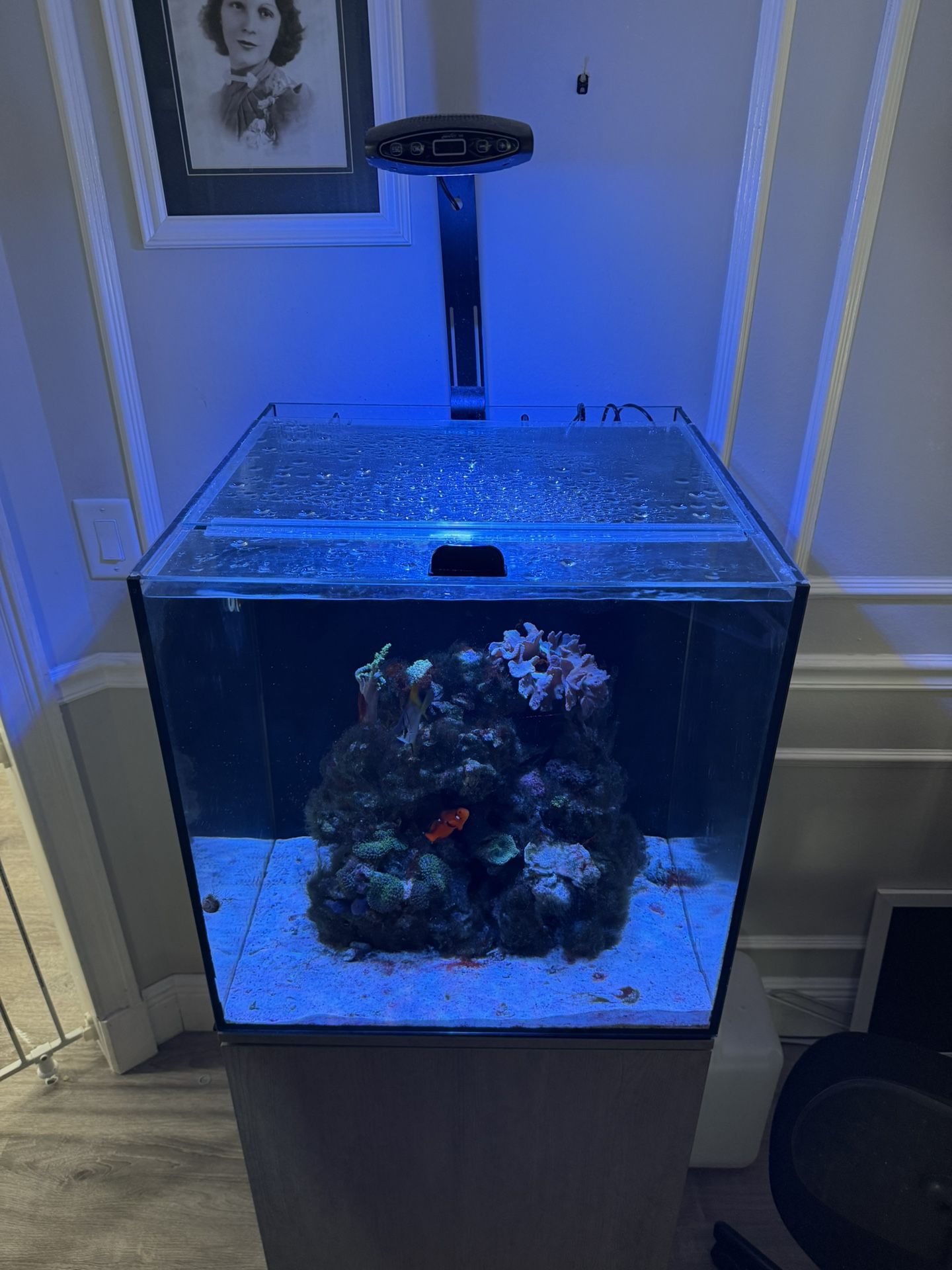 40 Gallon Aquarium